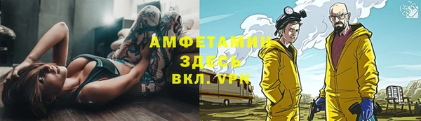 шишки Кулебаки