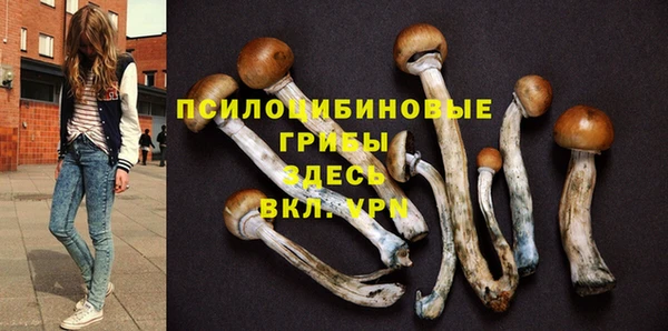 шишки Кулебаки