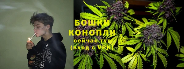 мет Ладушкин