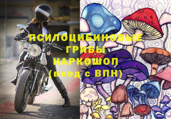 ECSTASY Лабытнанги