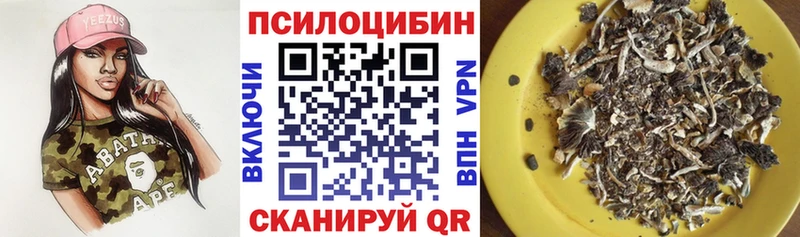 блэк спрут маркетплейс  Сусуман  Галлюциногенные грибы Psilocybine cubensis 